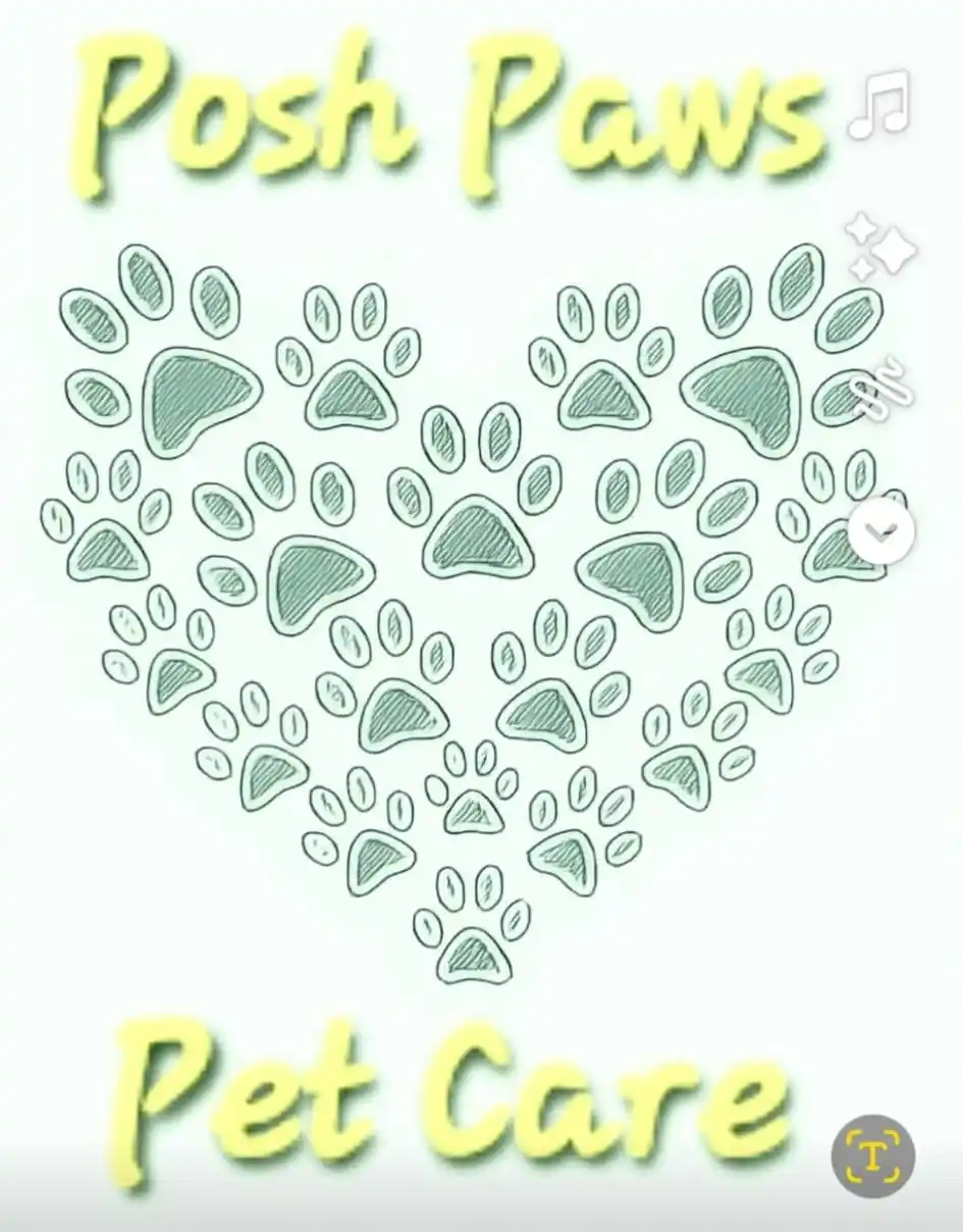 Posh Paws